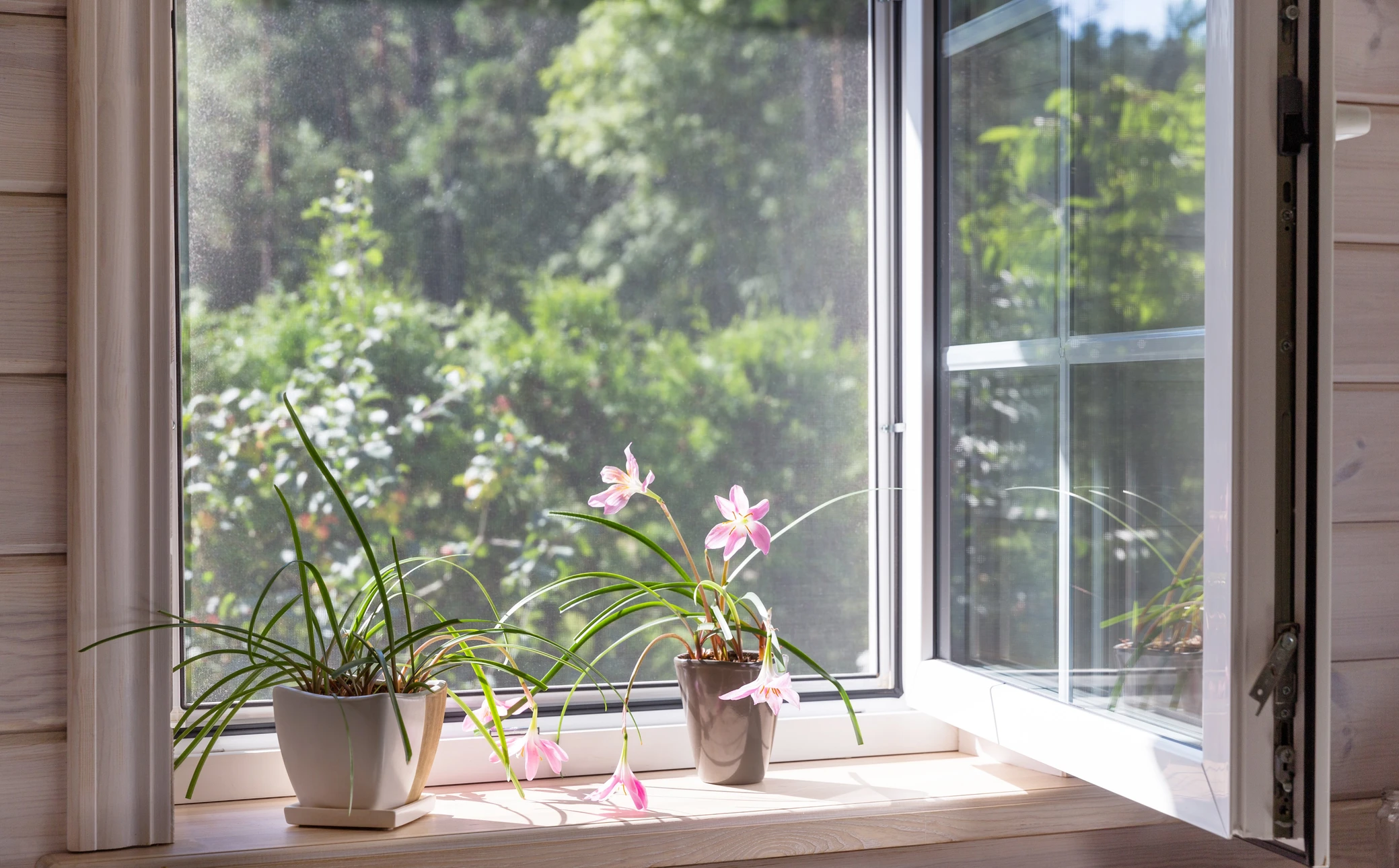 Fenêtre blanche avec moustiquaire dans une maison de bois rustique donnant sur le jardin